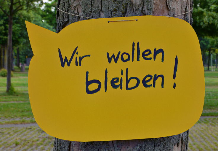 © www.mutbuergerdokus.de: 'Den Bäumen eine Stimme geben'