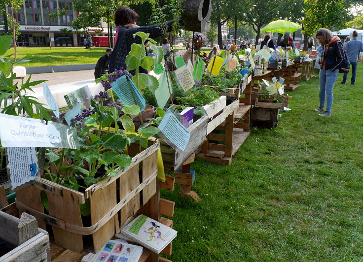 © www.mutbuergerdokus.de: 'March against Monsanto, Bayer & BASF'