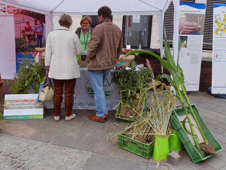 © www.mutbuergerdokus.de: 3. 'Umweltmarkt Neuss'