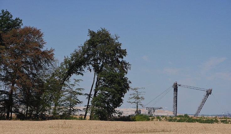 © www.mutbuergerdokus.de: 'Wald statt Kohle' - 51. Waldführung im Hambacher Forst