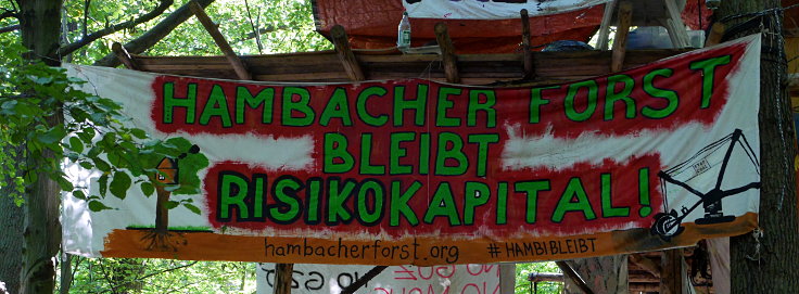 © www.mutbuergerdokus.de: 'Wald statt Kohle' - 51. Waldführung im Hambacher Forst