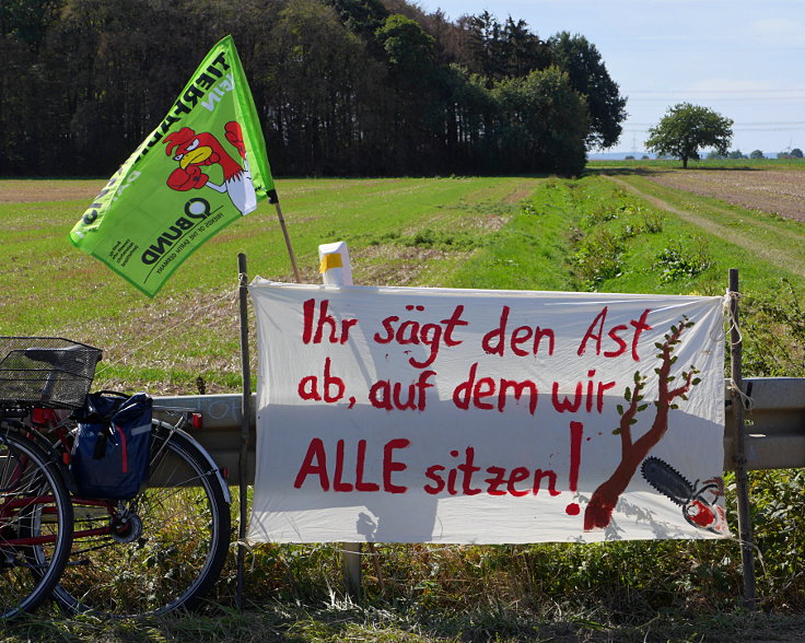 © www.mutbuergerdokus.de: Waldführung im Hambacher Forst