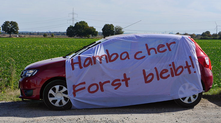 © www.mutbuergerdokus.de: Waldführung im Hambacher Forst