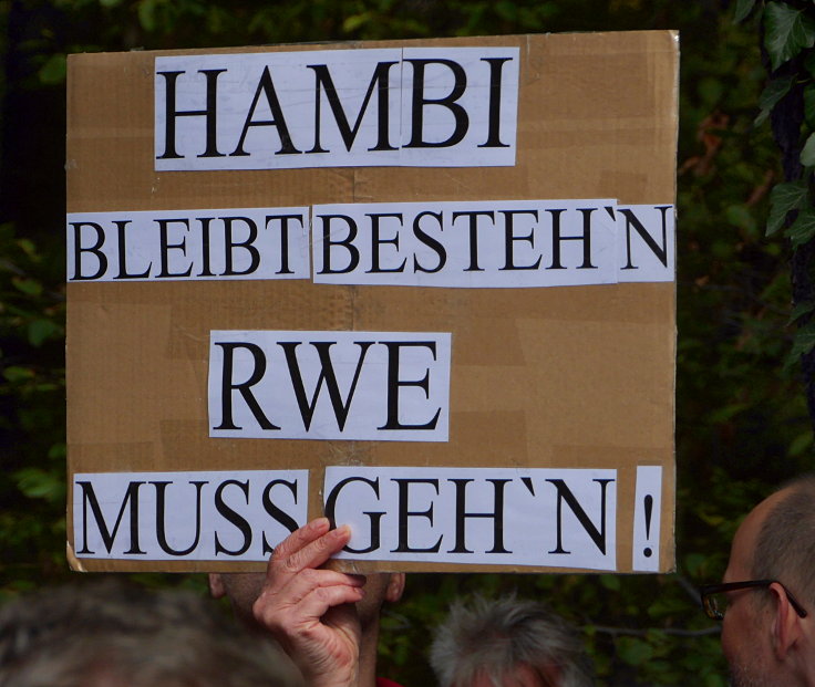 © www.mutbuergerdokus.de: Waldführung im Hambacher Forst