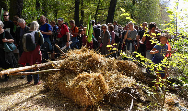 © www.mutbuergerdokus.de: Waldführung im Hambacher Forst