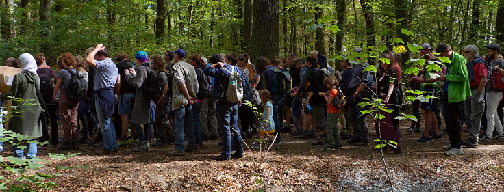 © www.mutbuergerdokus.de: Waldführung im Hambacher Forst