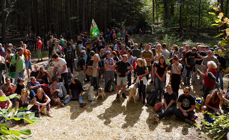 © www.mutbuergerdokus.de: Waldführung im Hambacher Forst