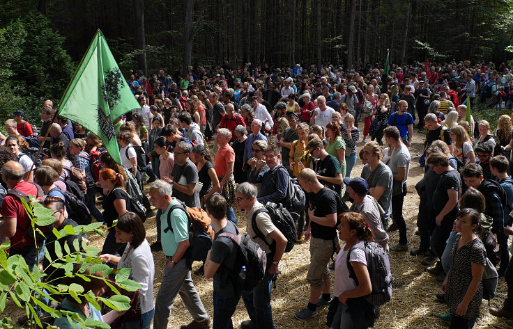 © www.mutbuergerdokus.de: Waldführung im Hambacher Forst