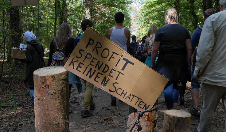 © www.mutbuergerdokus.de: Waldführung im Hambacher Forst