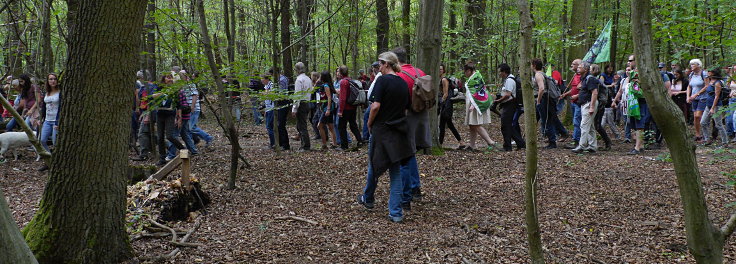 © www.mutbuergerdokus.de: Waldführung im Hambacher Forst