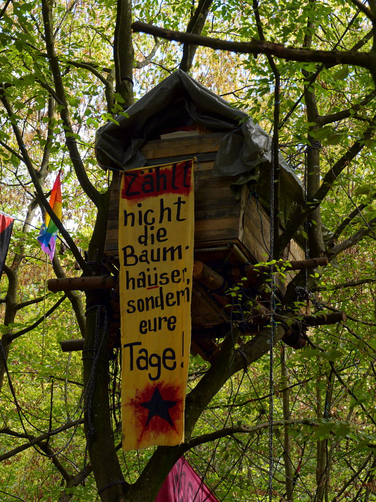 © www.mutbuergerdokus.de: Waldführung im Hambacher Forst