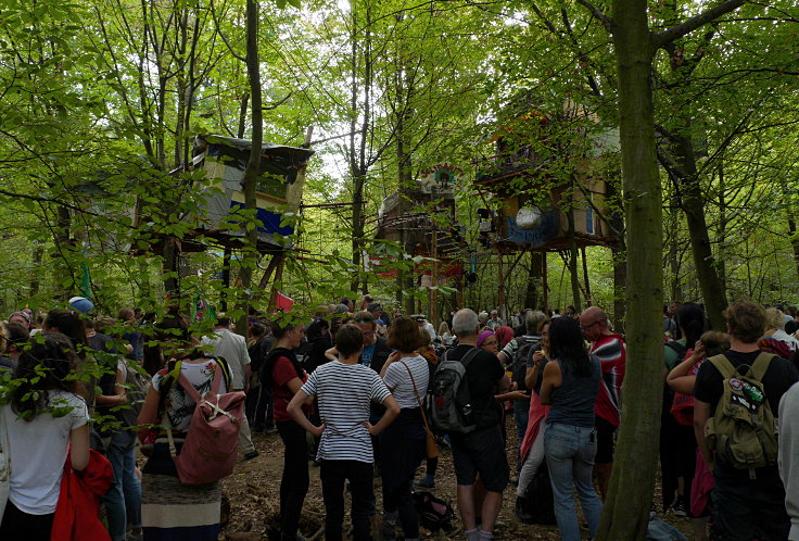 © www.mutbuergerdokus.de: Waldführung im Hambacher Forst