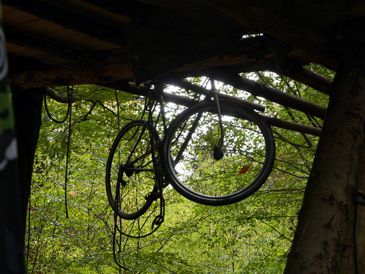 © www.mutbuergerdokus.de: Waldführung im Hambacher Forst