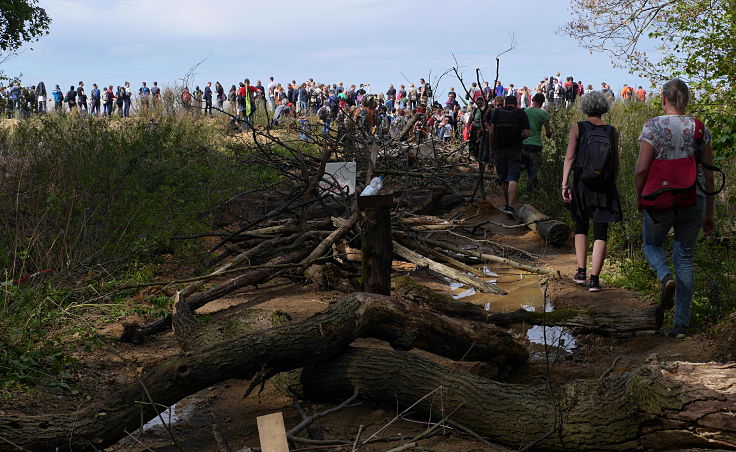 © www.mutbuergerdokus.de: Waldführung im Hambacher Forst