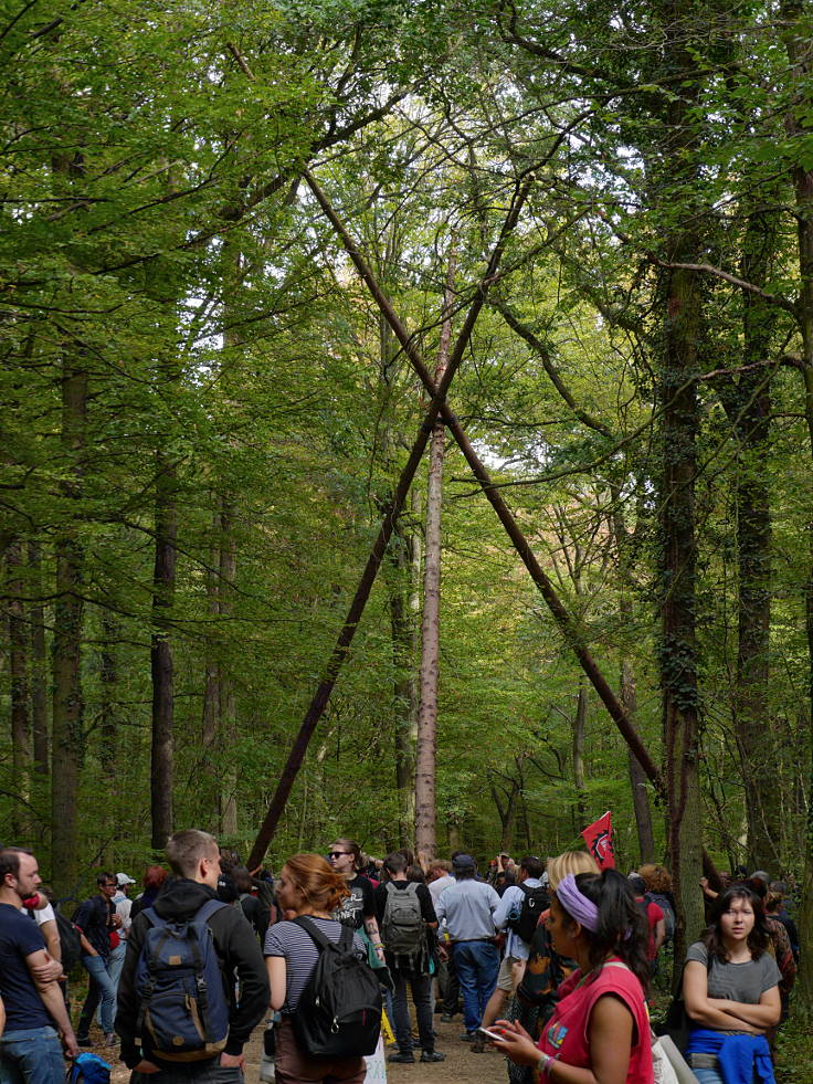 © www.mutbuergerdokus.de: Waldführung im Hambacher Forst