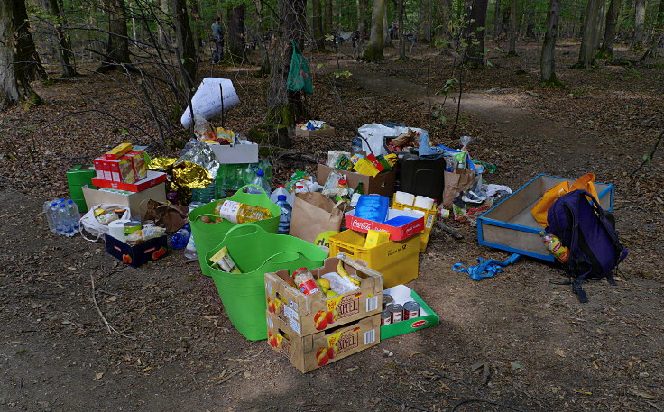 © www.mutbuergerdokus.de: Waldführung im Hambacher Forst