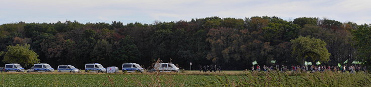 © www.mutbuergerdokus.de: Waldführung im Hambacher Forst