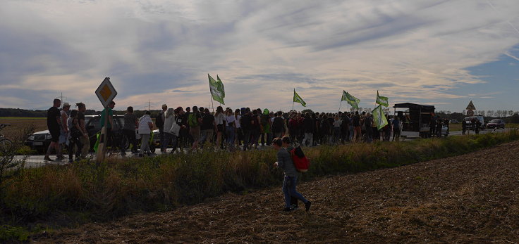 © www.mutbuergerdokus.de: Waldführung im Hambacher Forst