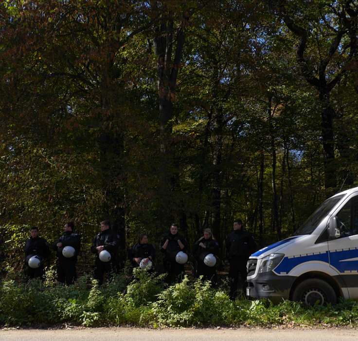 © www.mutbuergerdokus.de: Waldspaziergang durch den Hambacher Forst