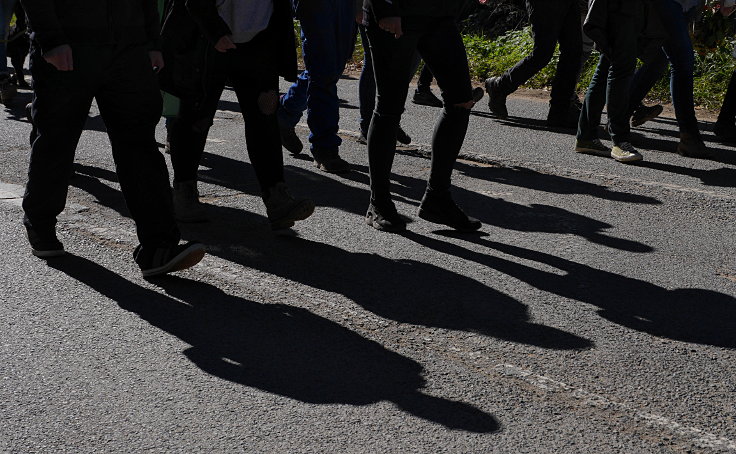 © www.mutbuergerdokus.de: Waldspaziergang durch den Hambacher Forst