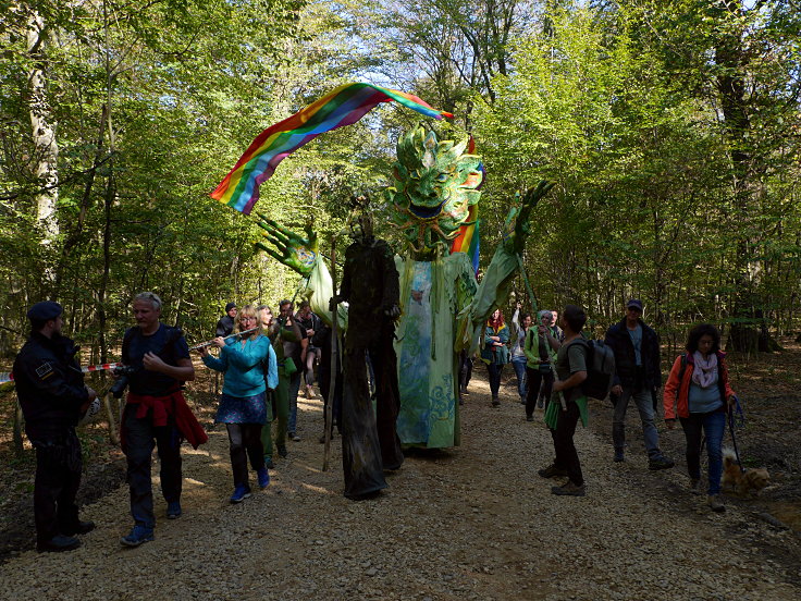 © www.mutbuergerdokus.de: Waldspaziergang durch den Hambacher Forst