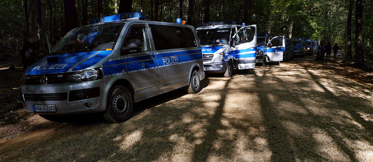 © www.mutbuergerdokus.de: Waldspaziergang durch den Hambacher Forst