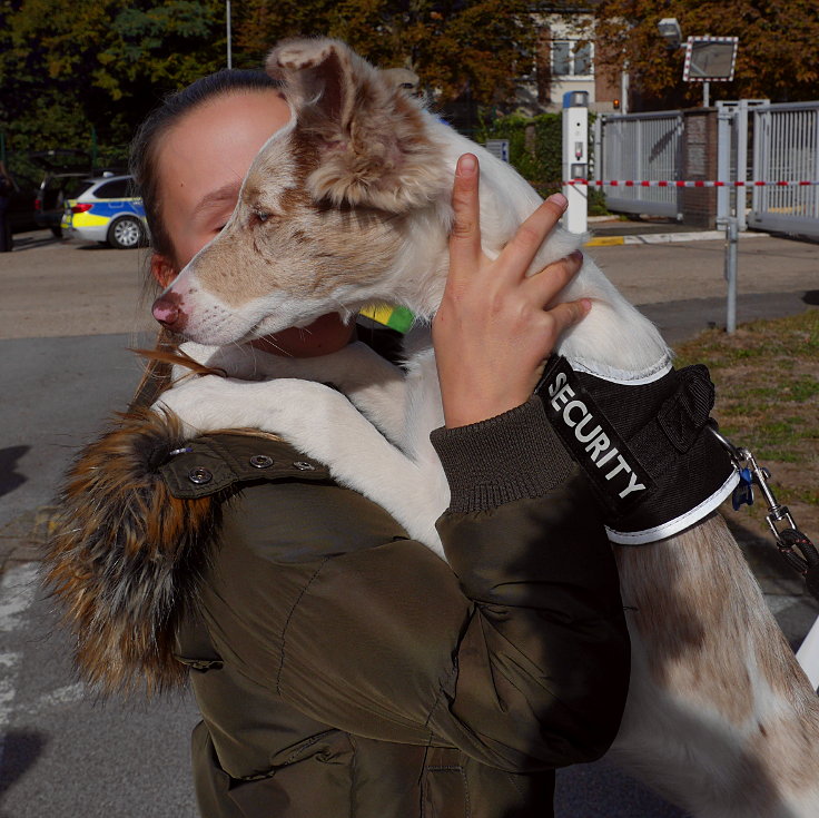 © www.mutbuergerdokus.de: 'Demonstration für Frieden und Abrüstung'