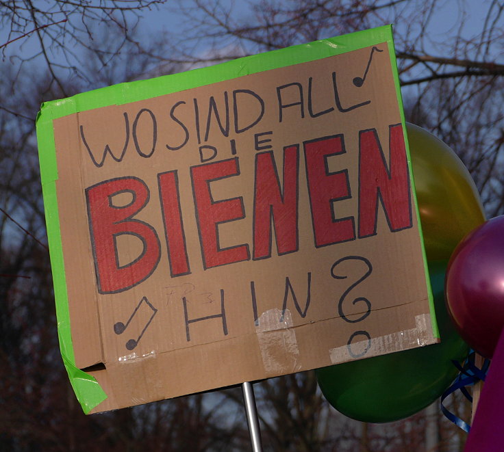 © www.mutbuergerdokus.de: Demonstration: 'Wir haben es satt!'