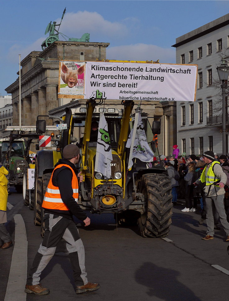 © www.mutbuergerdokus.de: Demonstration: 'Wir haben es satt!'