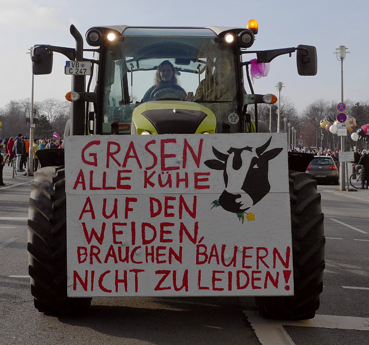 © www.mutbuergerdokus.de: Demonstration: 'Wir haben es satt!'