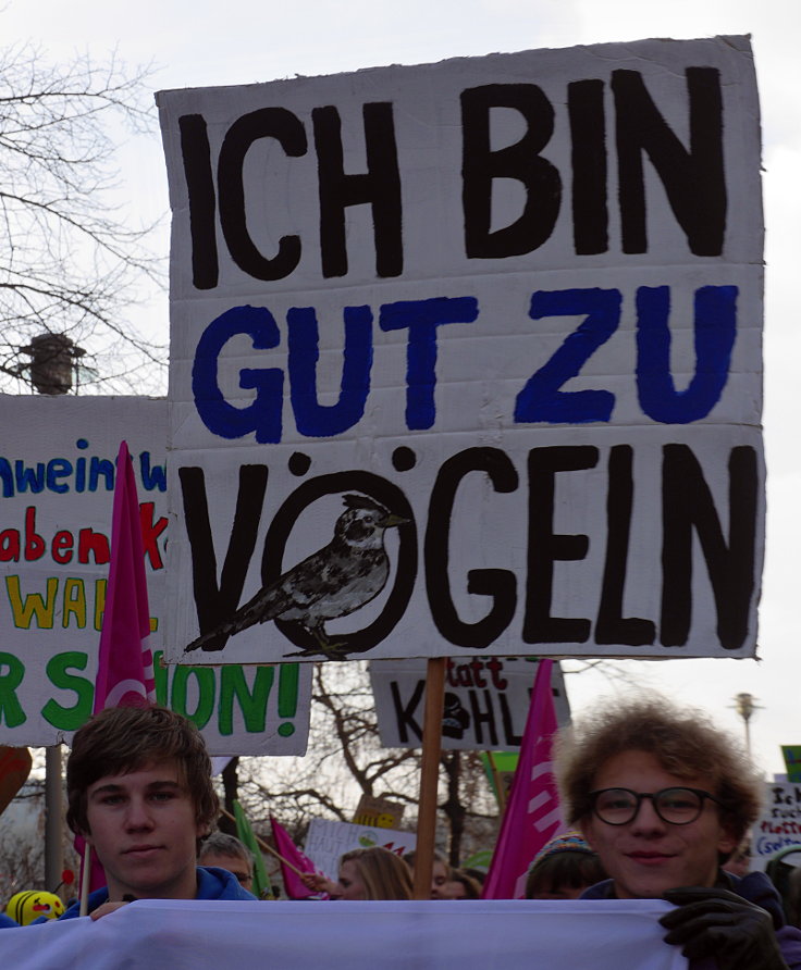 © www.mutbuergerdokus.de: Demonstration: 'Wir haben es satt!'