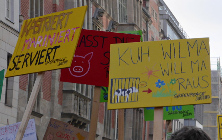 © www.mutbuergerdokus.de: Demonstration: 'Wir haben es satt!'