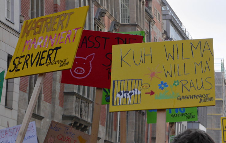 © www.mutbuergerdokus.de: Demonstration: 'Wir haben es satt!'