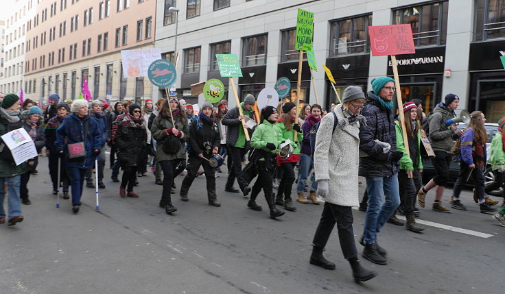 © www.mutbuergerdokus.de: Demonstration: 'Wir haben es satt!'