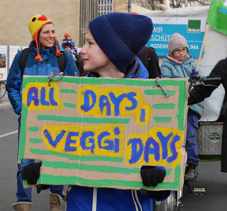 © www.mutbuergerdokus.de: Demonstration: 'Wir haben es satt!'