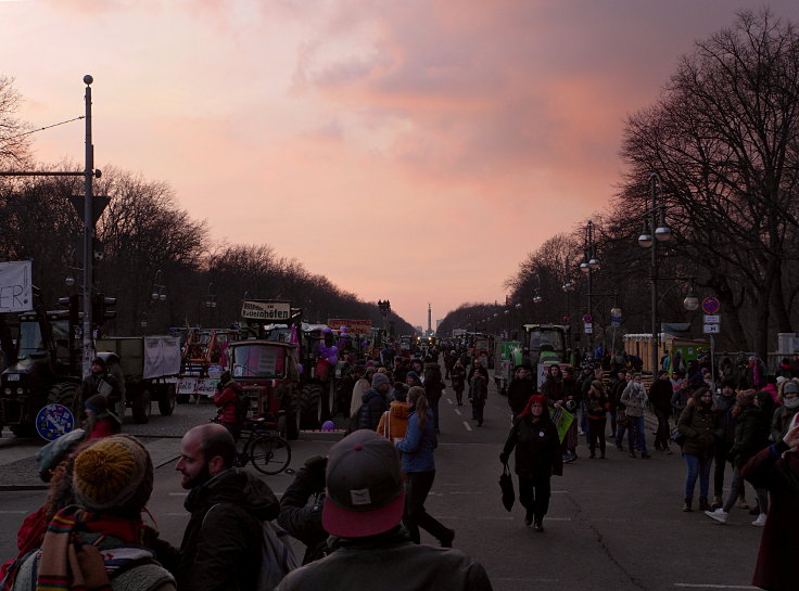 © www.mutbuergerdokus.de: Demonstration: 'Wir haben es satt!'