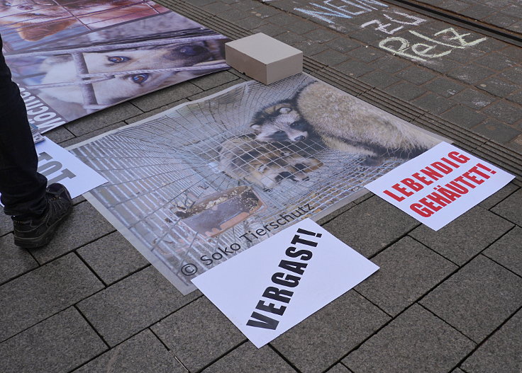 © www.mutbuergerdokus.de: Demonstration gegen Pelz