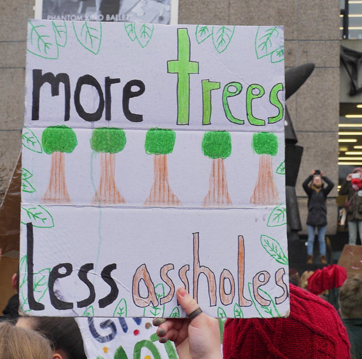 © www.mutbuergerdokus.de: Demonstration: 'Fridays for Future Düsseldorf'