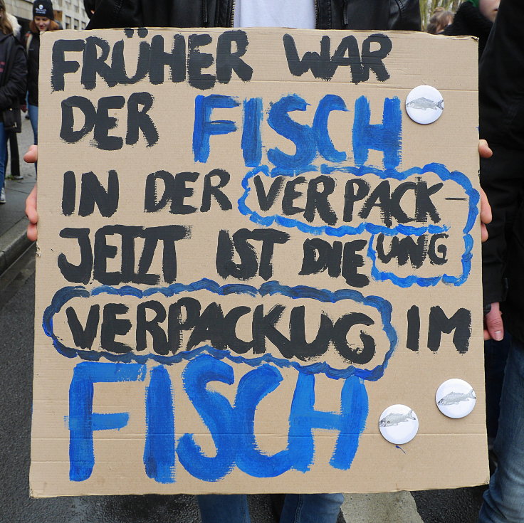 © www.mutbuergerdokus.de: Demonstration: 'Fridays for Future Düsseldorf'