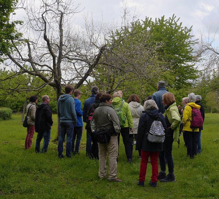 © www.mutbuergerdokus.de: Gartenfest am 'Ökotop' zum 'Tag der Erde'