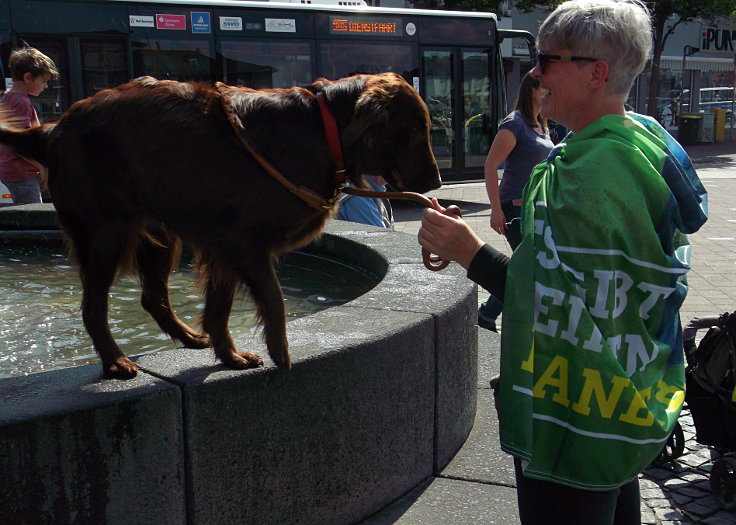 © www.mutbuergerdokus.de: Fridays for Future Düren: 'Europawahlen sind Klimawahlen!'