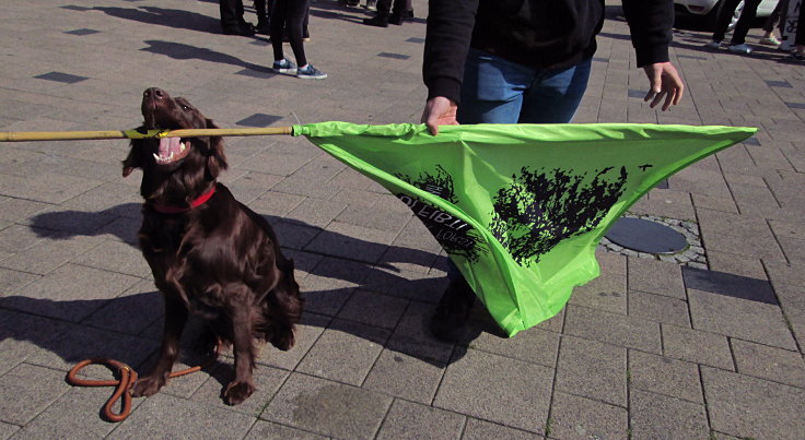 © www.mutbuergerdokus.de: Fridays for Future Düren: 'Europawahlen sind Klimawahlen!'