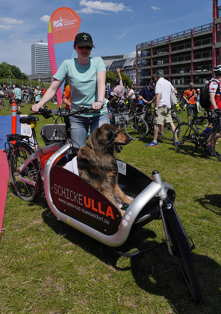© www.mutbuergerdokus.de: 7. 'ADFC Fahrrad*Sternfahrt NRW'