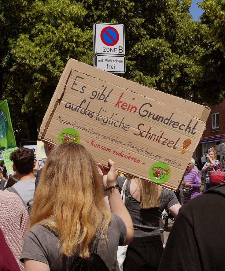 © www.mutbuergerdokus.de: Fridays for Future Aachen: 'Internationaler Zentralstreik'