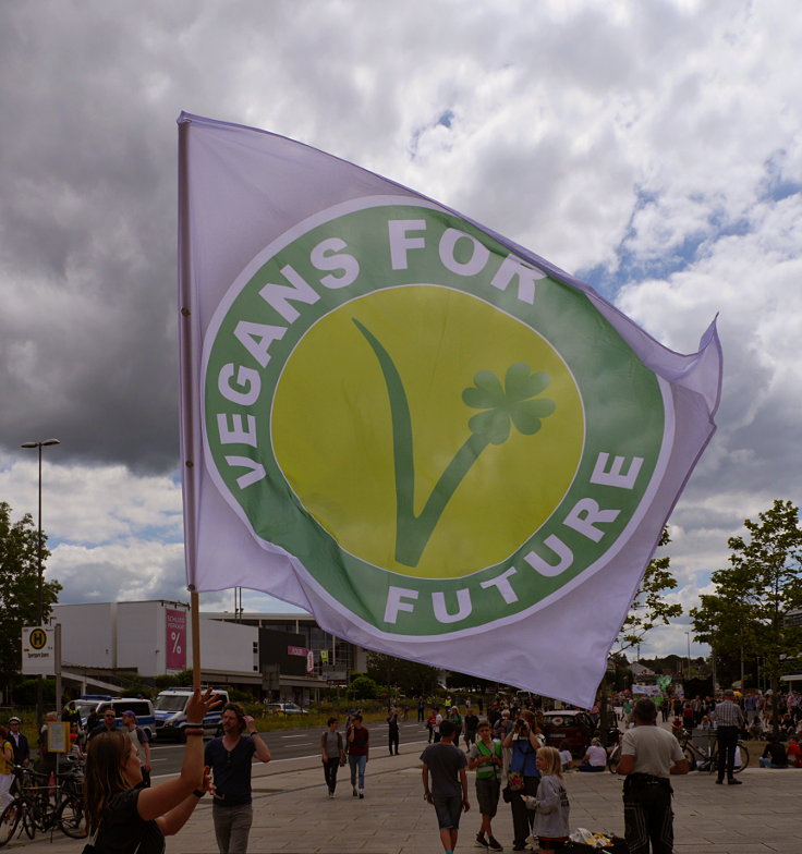 © www.mutbuergerdokus.de: Fridays for Future Aachen: 'Internationaler Zentralstreik'