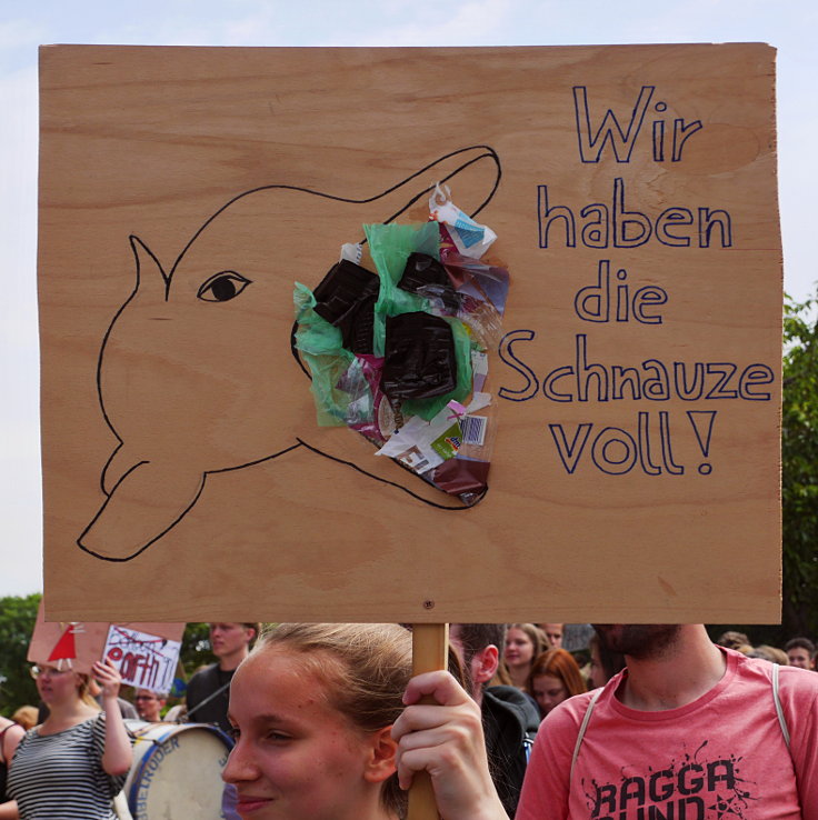 © www.mutbuergerdokus.de: 1. 'Fridays for Future'-Klimastreik Willich