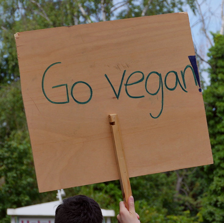 © www.mutbuergerdokus.de: 1. 'Fridays for Future'-Klimastreik Willich