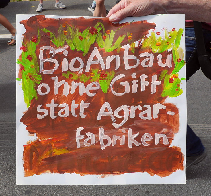 © www.mutbuergerdokus.de: 1. 'Fridays for Future'-Klimastreik Willich