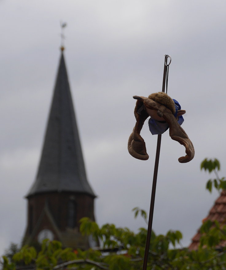 © www.mutbuergerdokus.de: 63. Waldführung im Hambacher Forst: 'Wald statt Kohle'