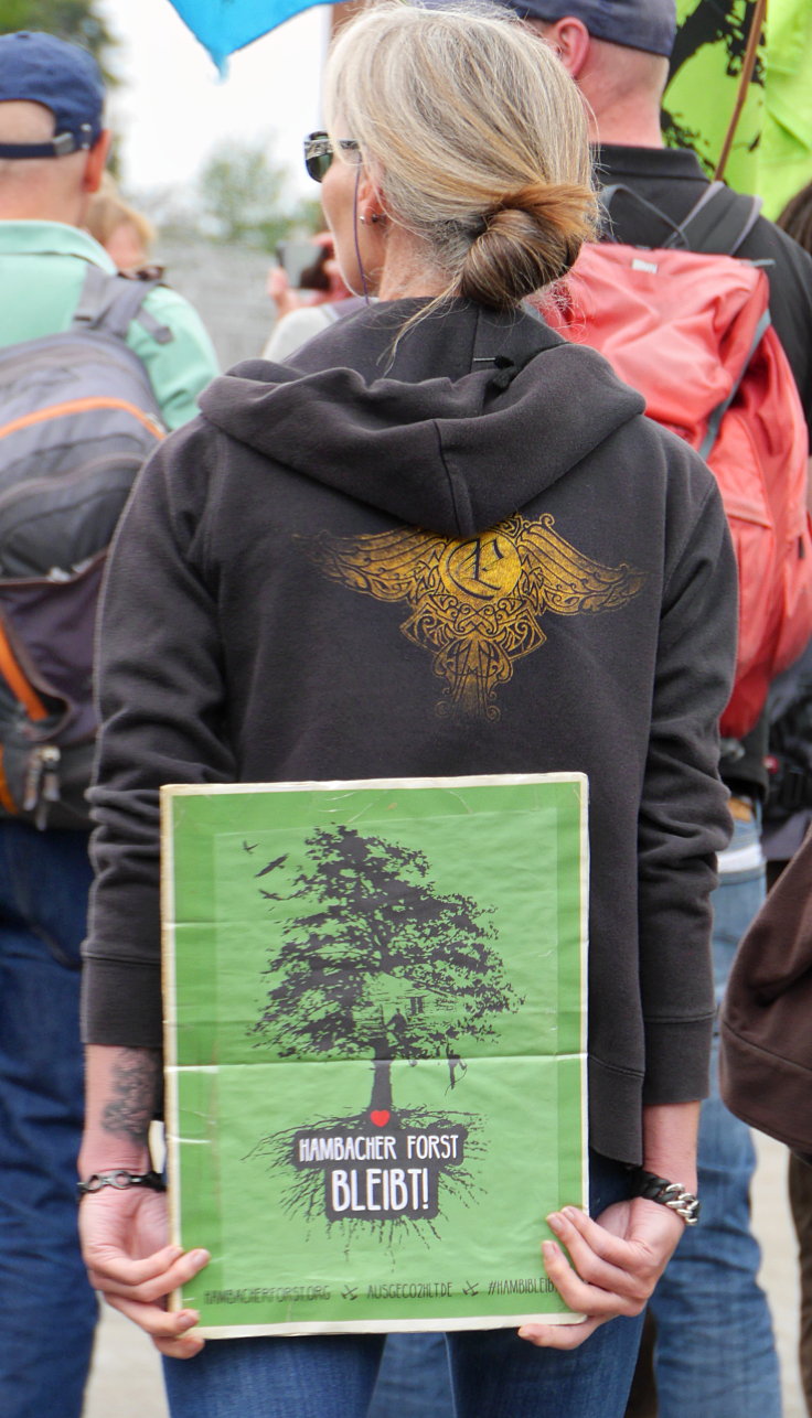 © www.mutbuergerdokus.de: 63. Waldführung im Hambacher Forst: 'Wald statt Kohle'